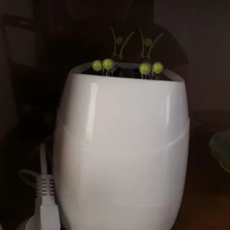 Lägenhet Green *